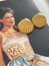 MAXI SHELL
